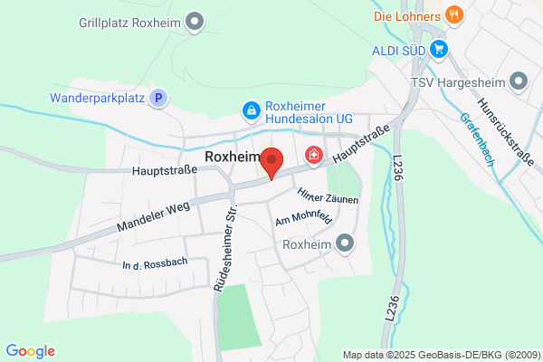 Kurierdienst Rhein-Nahe
