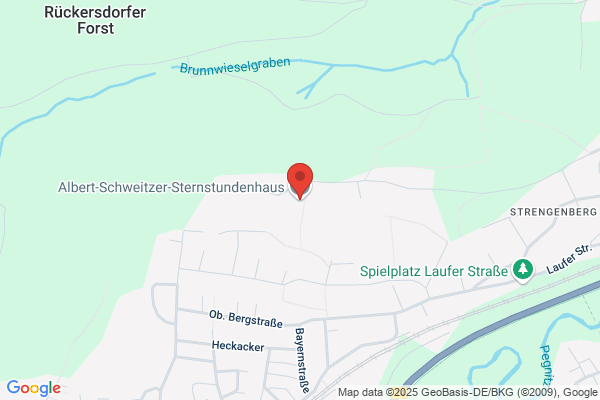 Albert Schweitzer Sternschnuppenhaus, Martin Schneider