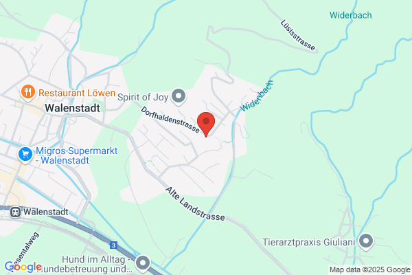 Hanspeter Schnitzer