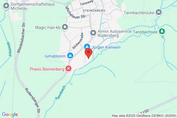 Steuerungsprojekt GmbH