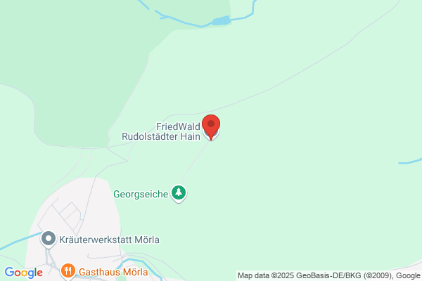 FriedWald Rudolstädter Hain