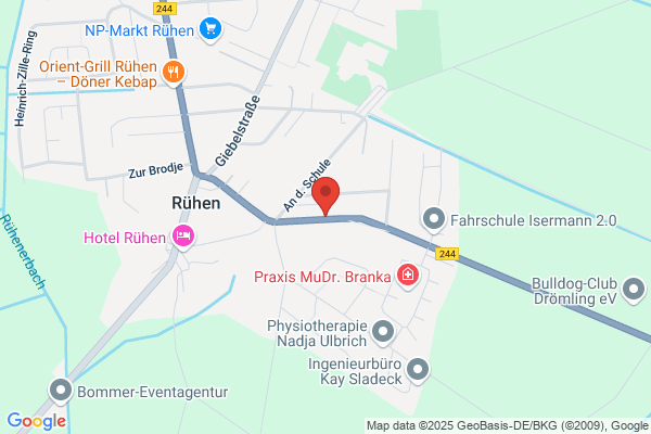 Peter's Drachenservice