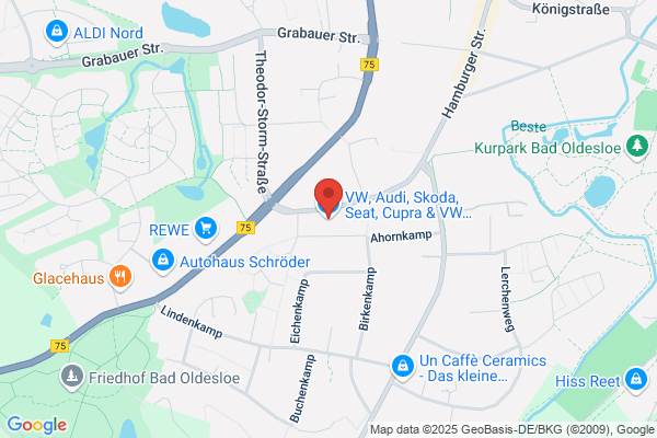 VW & Audi Verkauf & Service,  Skoda & VW Nutzfahrzeuge Service | Senger Holstein GmbH