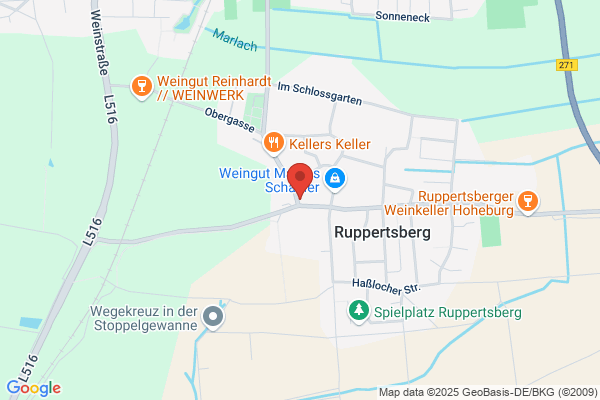Zum Winzer Kalb
