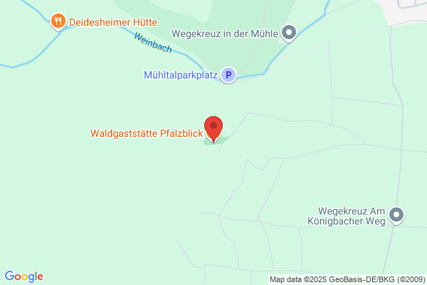 Pfalzblick