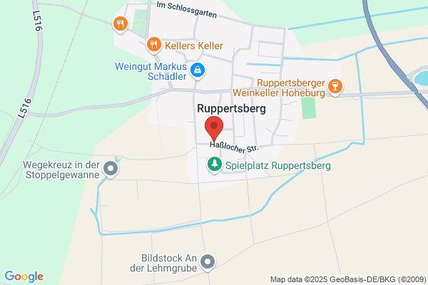 Schanz GmbH, Gerhard
