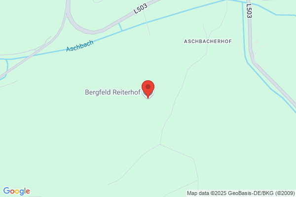 Bergfeld