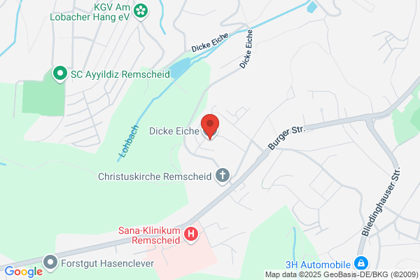 Ortsgemeinde Ortsbürgermeisterin