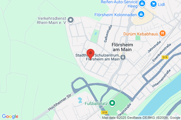 Projektservices Rhein-Main