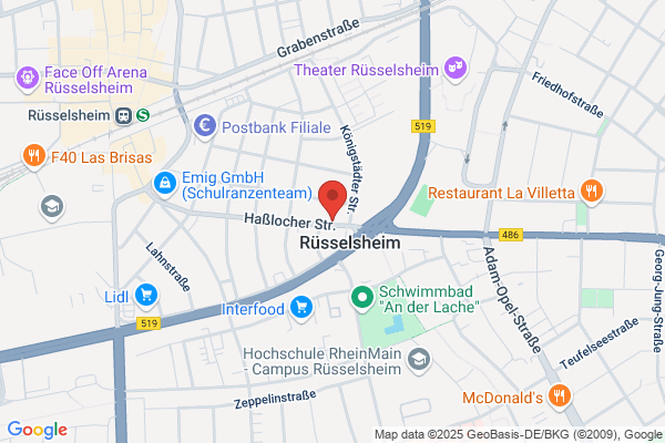 Fahrschule RL Rüsselsheim KG