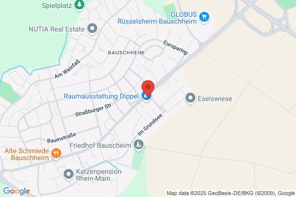 Feuerwehr Rüsselsheim-Bauschheim