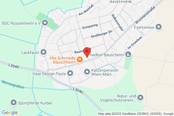 Jutta Stöhr