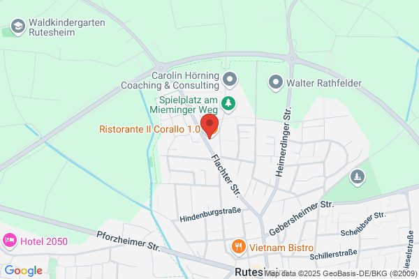 Wirtshaus Harmonika HHS Rutesheim e.V.