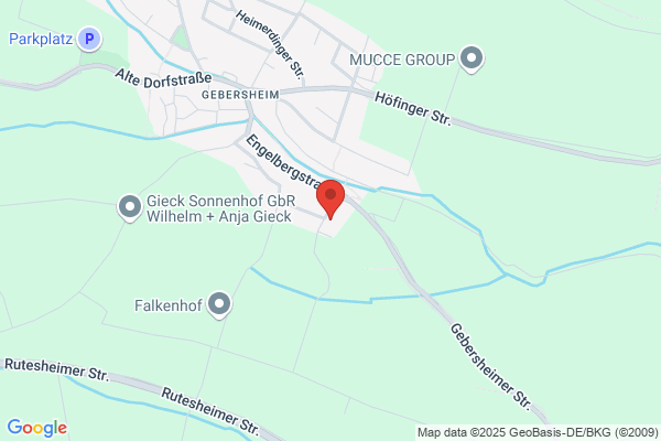 ELAPULS GmbH
