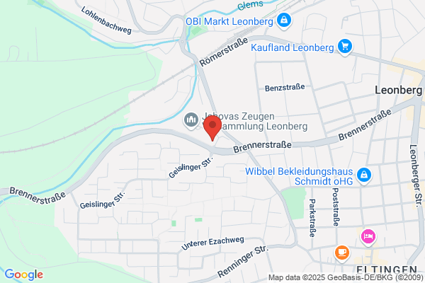Haar exact Damen-