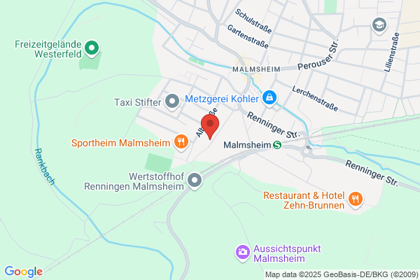 Medicina Homoeopathica HP GmbH