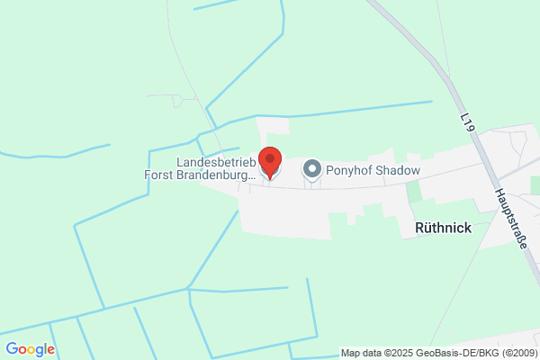 Landesbetrieb Forst Brandenburg Revier Neuruppin