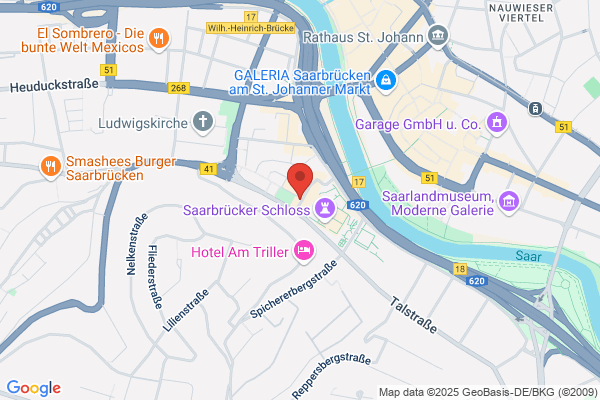 Die Linke Landesverband Saarland