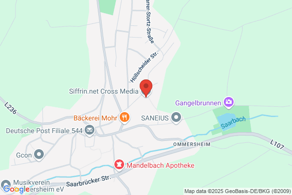 SFG-SANS Frontieres-Grenzenlos GmbH Medien- und Künstleragentur