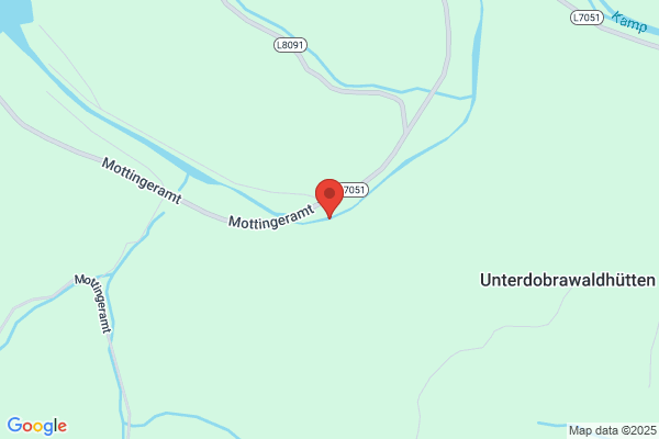 Kamp