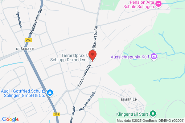 Schittelkop