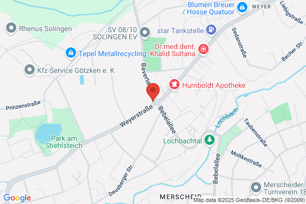 Heinrichs