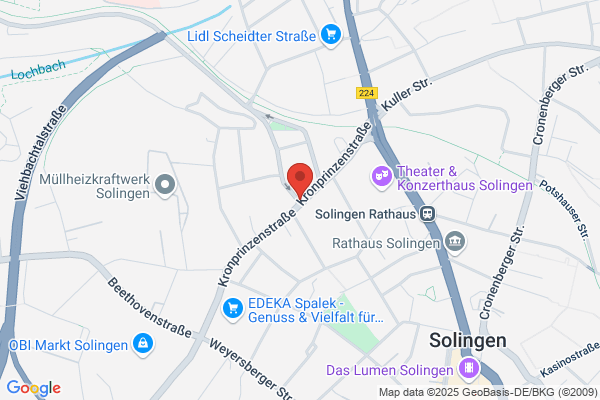 Braun Dienstleistungen
