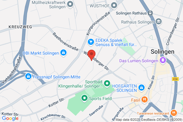 Wiesmann Wirtschaftsberatungs-u. Treuhandgesellschaft mbH