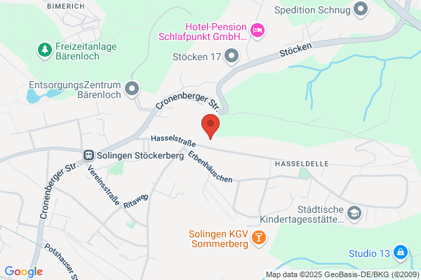 Rasspe Weidenbusch