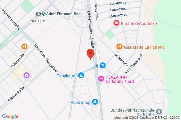 Badische Neueste Nachrichten Badendruck GmbH