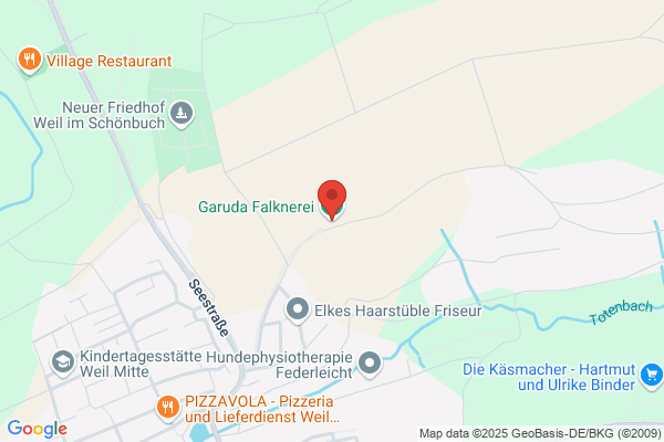 Falkner Dr. GmbH