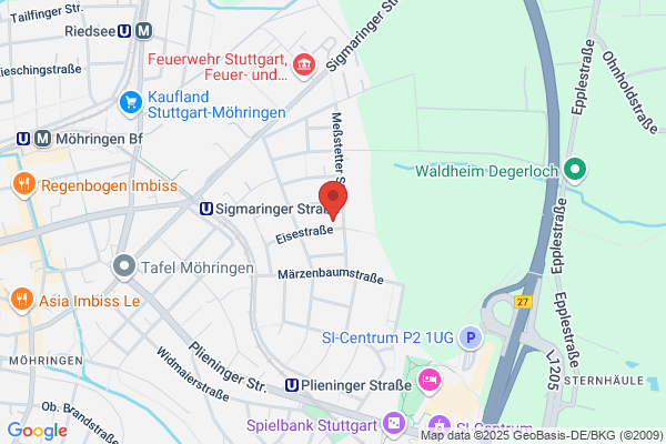Maler Sanierung MCG