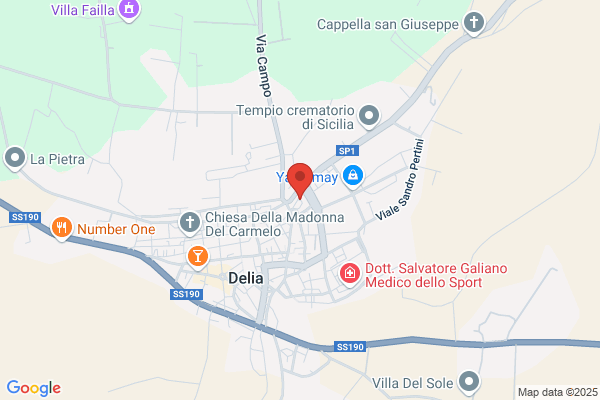 Calogero Rizza Viale