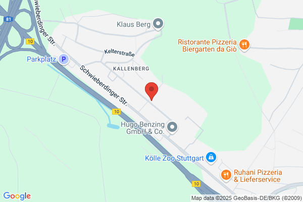 International Security ServiceGmbH