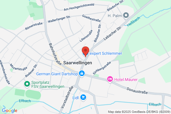 Schlemmer expert