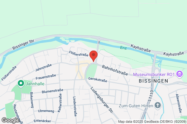 Hotel-Restaurant Litz