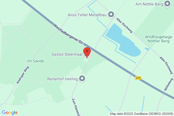 Gestüt Steenhaar Beatrix Gippert