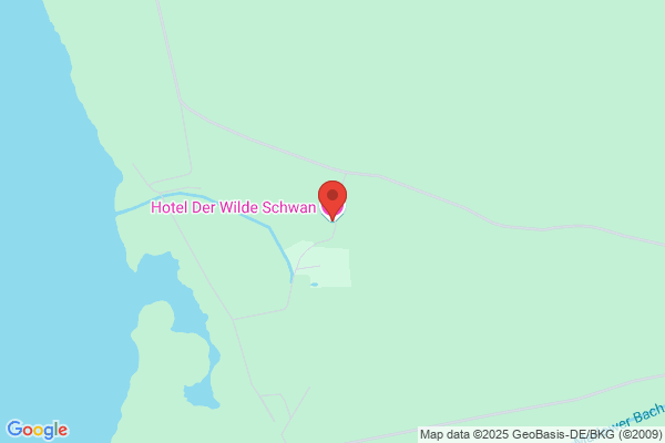 Hotel der Wilde Schwan GmbH