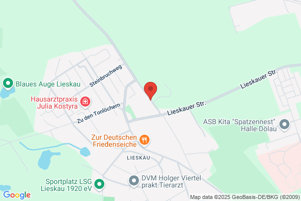Freiwillige Feuerwehr Gemeinde Lieskau