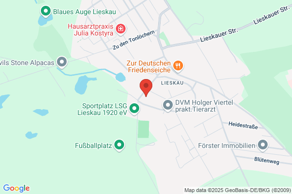 Antec Antennendienst Dräger