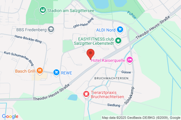Helfende Elfen