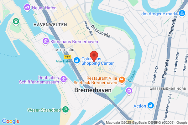 IBS Industrie-Service