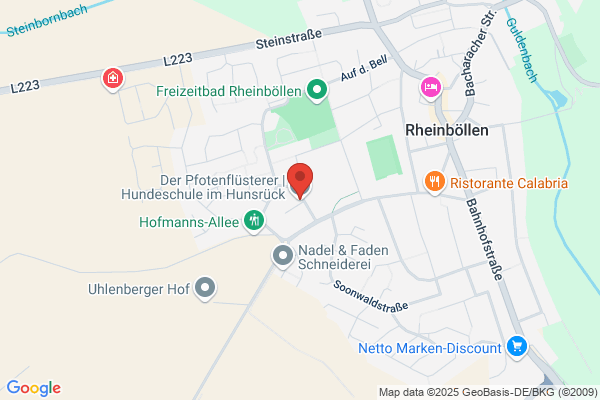 Molter's Hundeschule