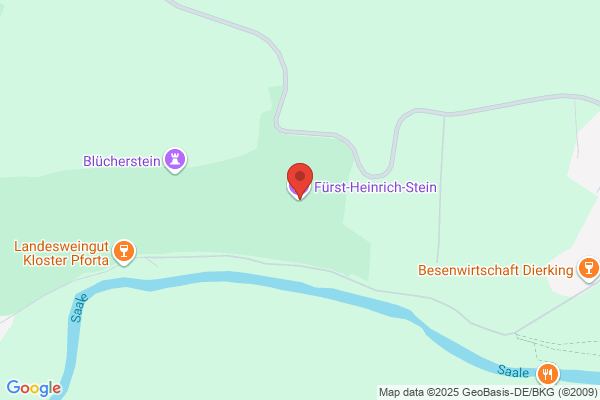 Heinrich Stein