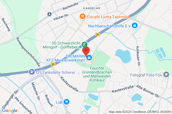 Synalis GmbH & Co. KG