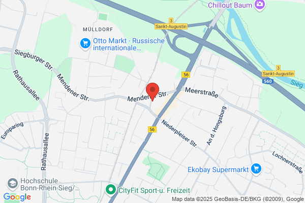 WZ Treuhand GmbH