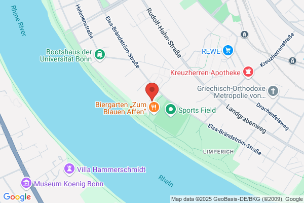 Haus am Rhein