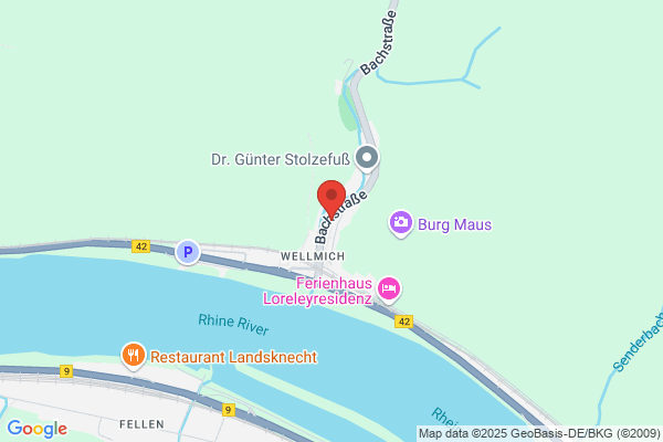 Gasthaus Germania Zum Saustall Wellmich