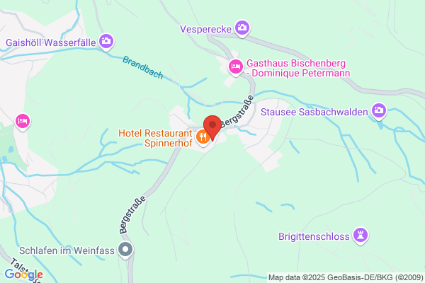 Jasper, Bettina M. - Denk-Werkstatt
