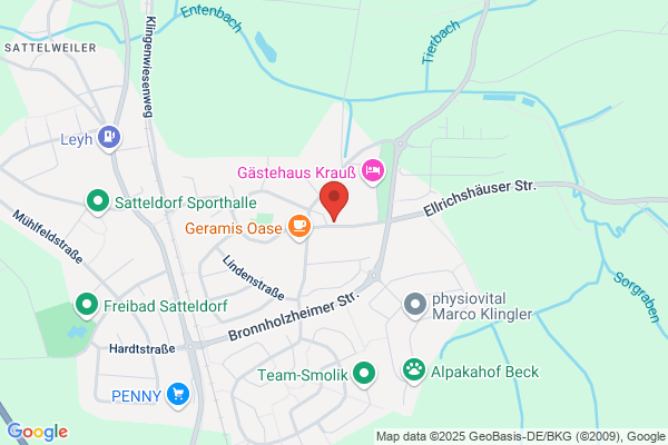 Ochsen